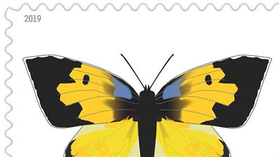 united-states-2019-butterfly-stamp-preview