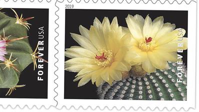 united-states-2019-cactus-flowers-stamp-preview