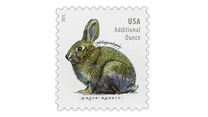 united-states-2020-brush-rabbit-additional-ounce-stamp