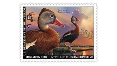 united-states-2020-federal-duck-stamp-black-bellied-whistling-ducks