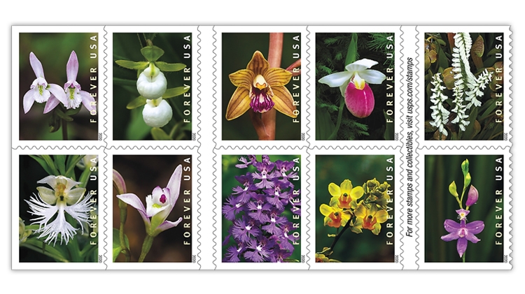 united-states-2020-wild-orchids-stamps