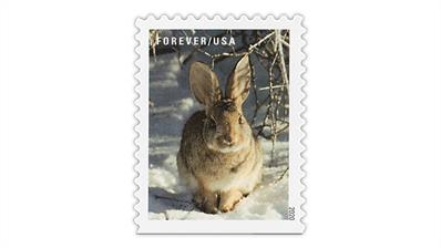 united-states-2020-winter-scenes-rabbit-stamp