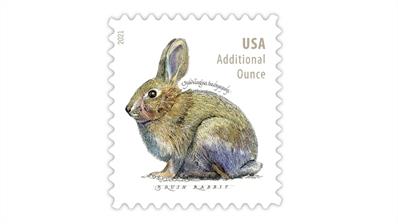 united-states-2021-brush-rabbit-additional-ounce-stamp