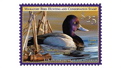 united-states-2021-lesser-scaup-federal-duck-stamp