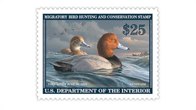 united-states-2022-redheads-federal-duck-stamp-engraving