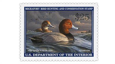 united-states-2022-redheads-federal-duck-stamp