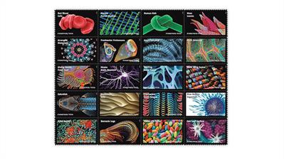 united-states-2023-life-magnified-stamps