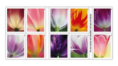 united-states-2023-tulip-blossoms-stamps