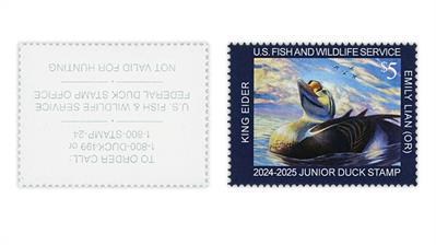 united-states-2024-king-eider-junior-duck-stamp-back-inscription-inverted