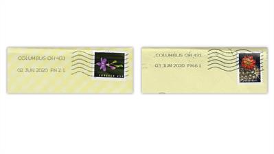 united-states-cactus-flowers-wild-orchids-stamps