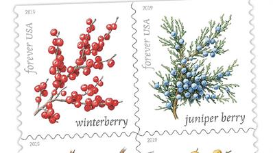 united-states-winter-berries-preview