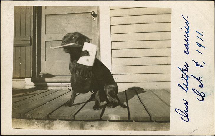 us-stamp-notes-dog-postcard-mail-carrier-service