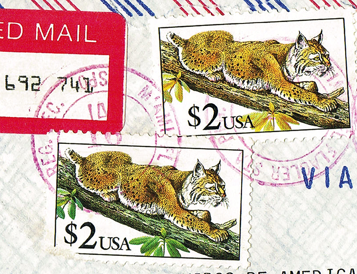 us-stamp-notes-expertizing-bobcat