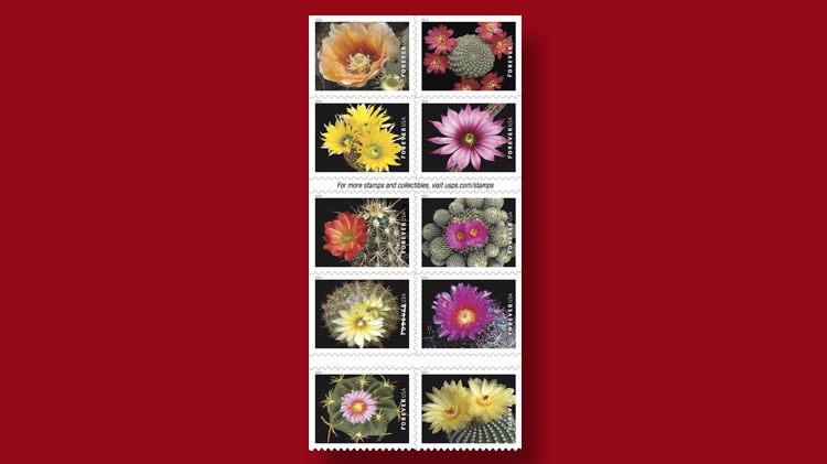 us-stamps-2019-cactus-flowers