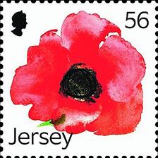 zne-dm-jerseypoppy