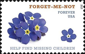 zne-mb-forget-me-not